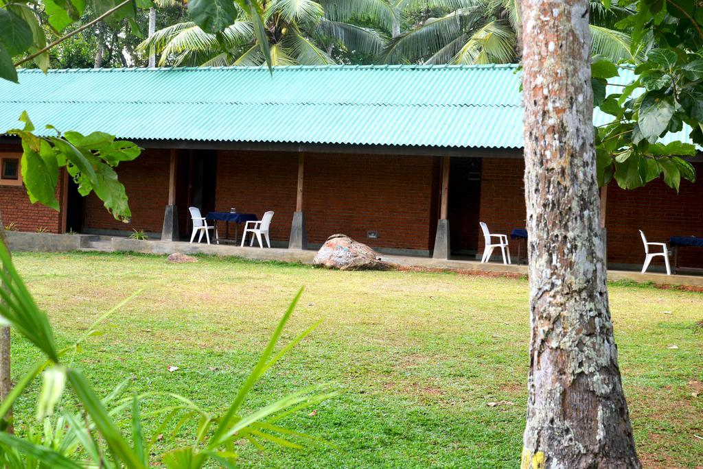 Jungle Beach Hostel Unawatuna Zewnętrze zdjęcie