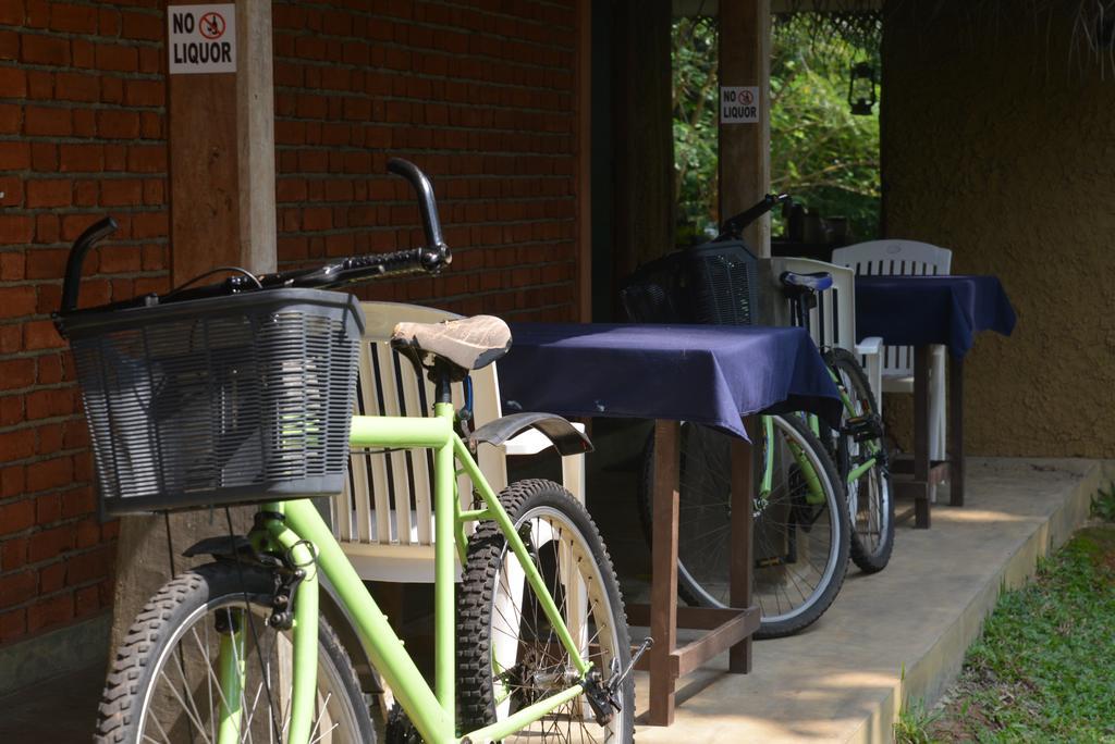 Jungle Beach Hostel Unawatuna Zewnętrze zdjęcie