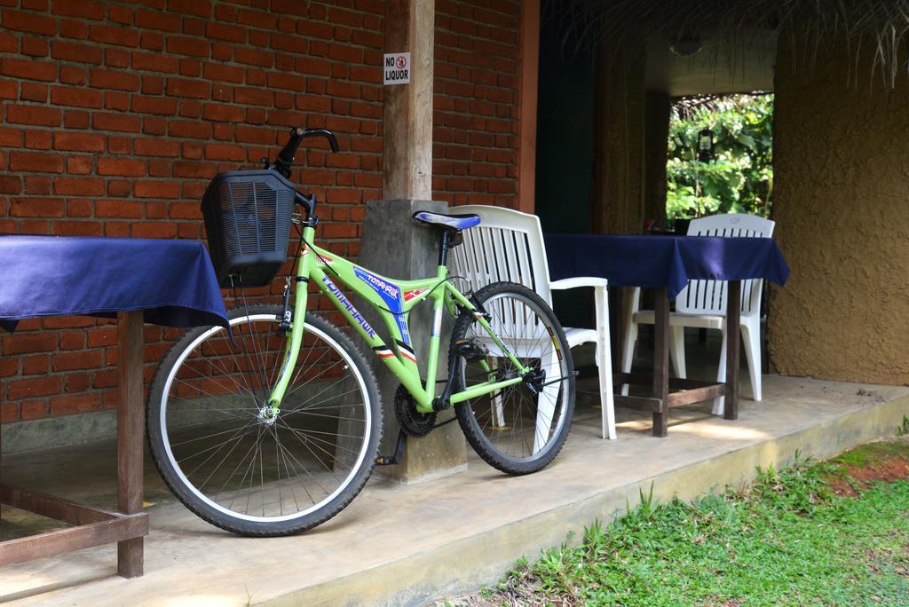 Jungle Beach Hostel Unawatuna Zewnętrze zdjęcie